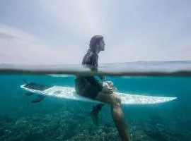 Mentawai Ebay Playground Surfcamp
