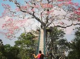 Paradise Amazon Tambopata Ecolodge