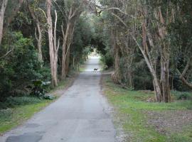 Nature's Valley Health Retreat A Hide away in the Forest, holiday home in Natureʼs Valley