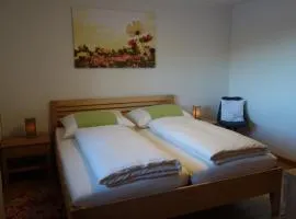 Apartment Steinkellner