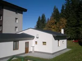 Apartmán Srní