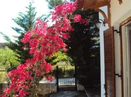 Country House