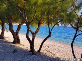 Apartments Ferdo, ξενοδοχείο σε Zivogosce