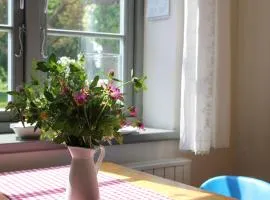 Lush Apartment in Steffenshagen with Garden