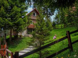 Chalet Escapade with Sauna, hotel in Žabljak