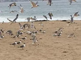 Cabañas en Algarrobo Norte