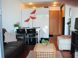 Penthouse City Center apartment