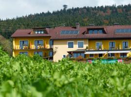 Gasthaus - Pension Sonnenhof, penzion v destinaci Ulrichsberg