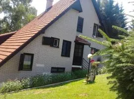 Vlasinski vrtovi