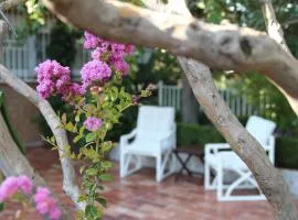 El jardín de la abuela