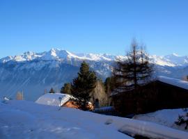 Residence Arnica, 3-star hotel in Crans-Montana