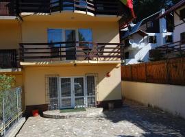 Vila Amira Predeal, villa i Predeal