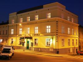 Hotel U Divadla, hotel in Znojmo