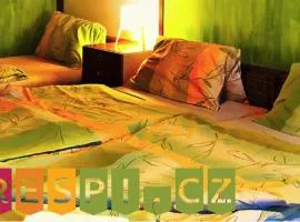 PreSpi