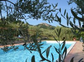 Agriturismo Il Monte - Piscina tra gli Ulivi, Maneggio con Cavalli e WIFI, country house di Monte Santa Maria Tiberina