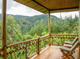 Ichumbi Gorilla Lodge, viešbutis mieste Kisoro