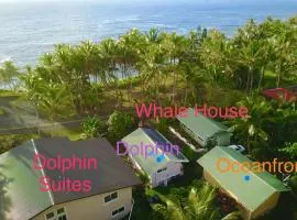 Whale House at Kehena Beach
