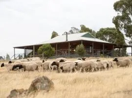 Gilgraves Vineyard Farmstay