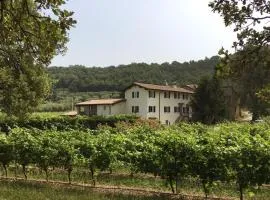 Agriturismo Ca' Castellani