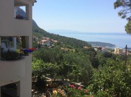 Apartments Panorama, hotelli Makarskassa