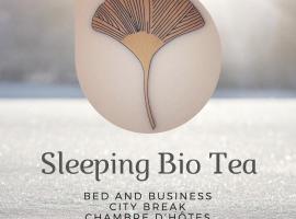 Sleeping Bio Tea, B&B in Thionville