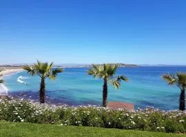 Puerto Velero/ Primera Linea