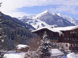 Altachhof Hotel und Ferienanlage - Jokercard im Sommer inklusive