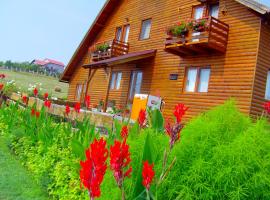 Casa Altius Felix, romantický hotel v destinaci Băile Felix