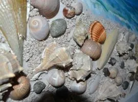Seashell Art Decor Studio Private Garage