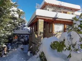 Livadi Chalet Arachova The perfect family vacation