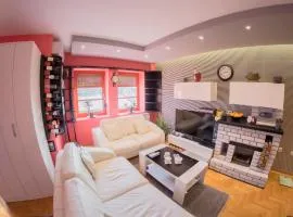 Apartman u srcu grada