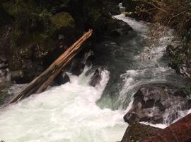 Hotel Bellavista, hotel in Puerto Varas