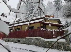 Casa de Vacanta Razvan si Andrei