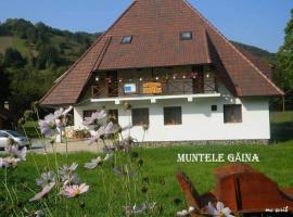 Pensiunea Muntele Gaina, alojamento de turismo rural em Tîrsa