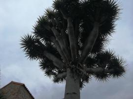 Casa El Drago, hotel cerca de TiDES, Las Palmas de Gran Canaria