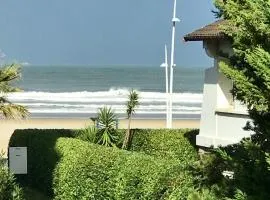 Ibaia Sokoburu dream