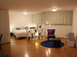 A Casa Fina- a modern room close to Basel, מלון עם חניה בTherwil