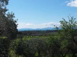Agriturismo Tenuta di Vignale
