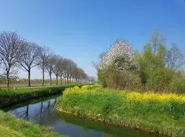 B&B Het Zwanennest