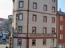 Hekimoğlu Hotel, hotel in Erzurum