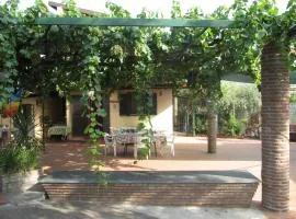 Cottage in the green