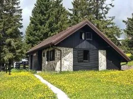 Chalet Klara