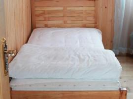 abastumani, otel、Abastumaniのホテル