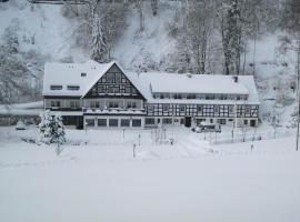 Tommes Gästehaus Zur Mühle, ξενοδοχείο σε Schmallenberg