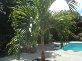 Happy Turtle Apartments