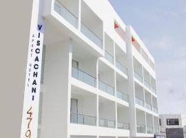 Apart Hotel Viscachani，阿里卡的飯店