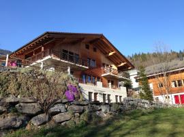 Ferienwohnung Ichtys, hotel v destinaci Hasliberg