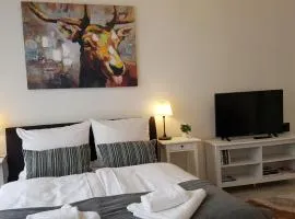 City Apartment, good location