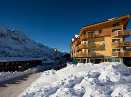 Hotel Delle Alpi、パッソ・デル・トナーレのホテル