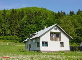 Kordíky